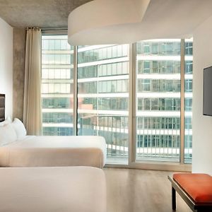 One-Bedroom Queen Suite